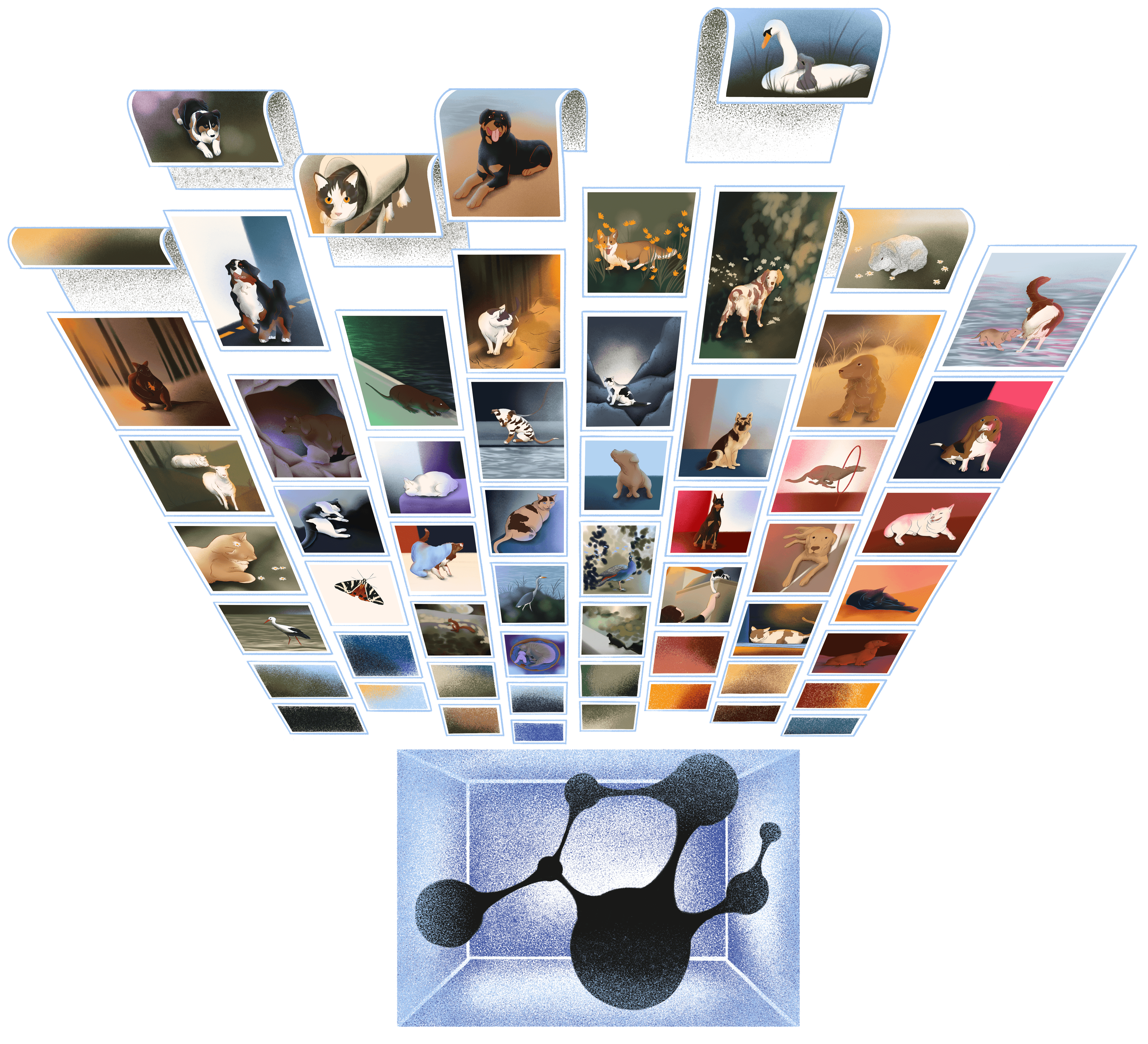 image avec animaux